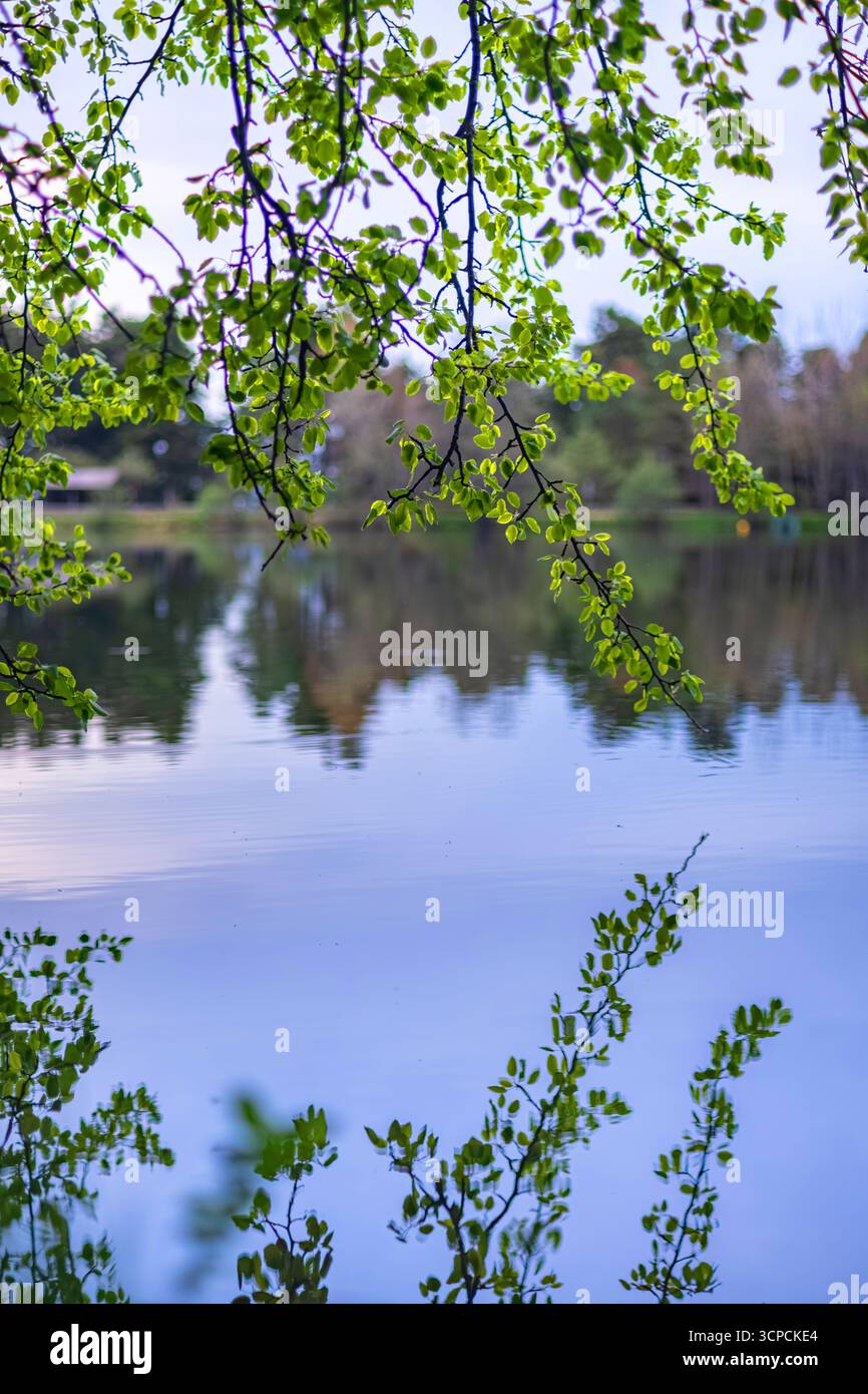 Tauchen Sie ein in die Ruhe der Natur mit diesem fesselnden Bild eines ruhigen Sees inmitten von grünen Hügeln und üppigem Laub. Stockfoto