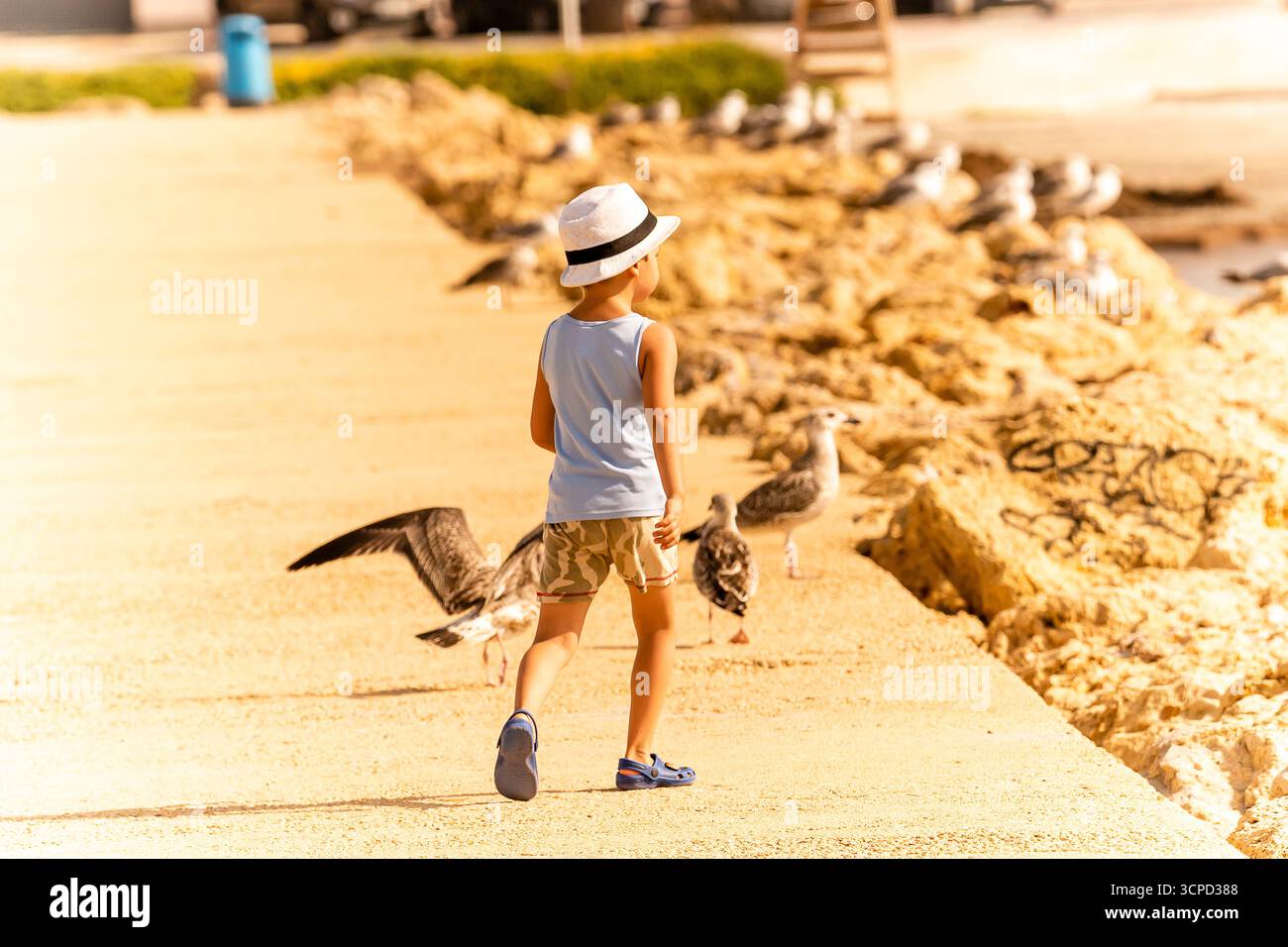 Ein kleiner Junge schlendert entlang eines Strandspaziergangs und füttert Möwen, während er den sonnigen Tag genießt. Stockfoto