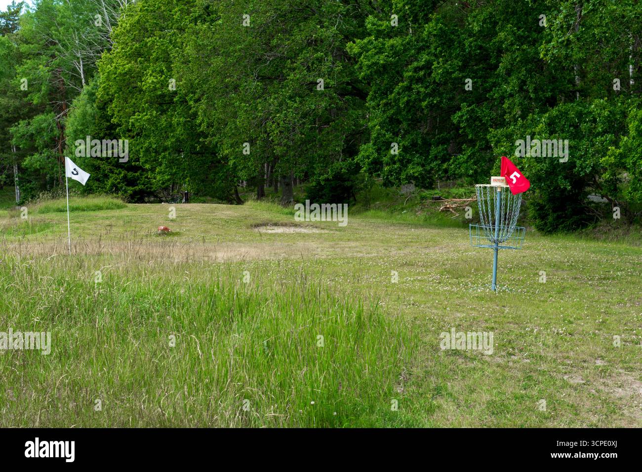 Ein Golfkorb mit Metallscheiben, Ketten und einer roten Flagge, der auf einem grasbewachsenen Feld steht, umgeben von üppig grünen Bäumen in einer Parklandschaft. Stockfoto