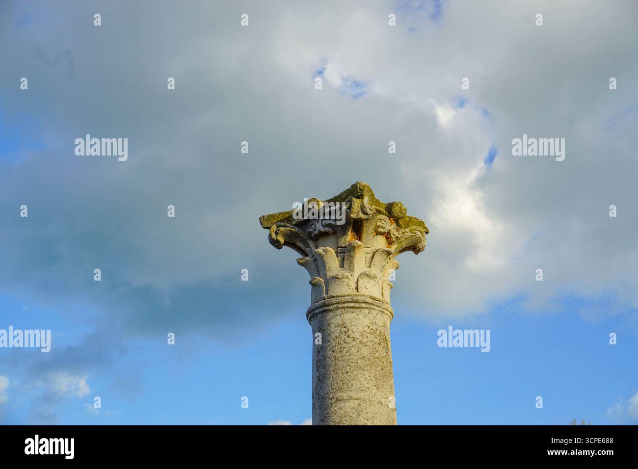 Die Basilika des Heiligen Augustinus in Annaba, ein Wahrzeichen der Geschichte und des Glaubens und römische Ruinen der antiken Stadt Hippo, Annaba, Algerien Stockfoto