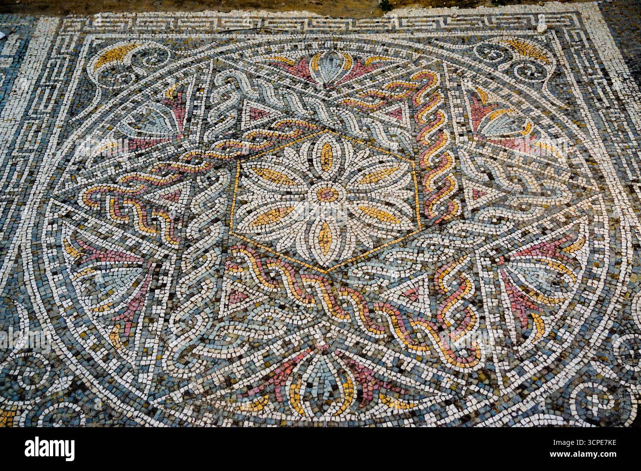 Die Basilika des Heiligen Augustinus in Annaba, ein Wahrzeichen der Geschichte und des Glaubens und römische Ruinen der antiken Stadt Hippo, Annaba, Algerien Stockfoto
