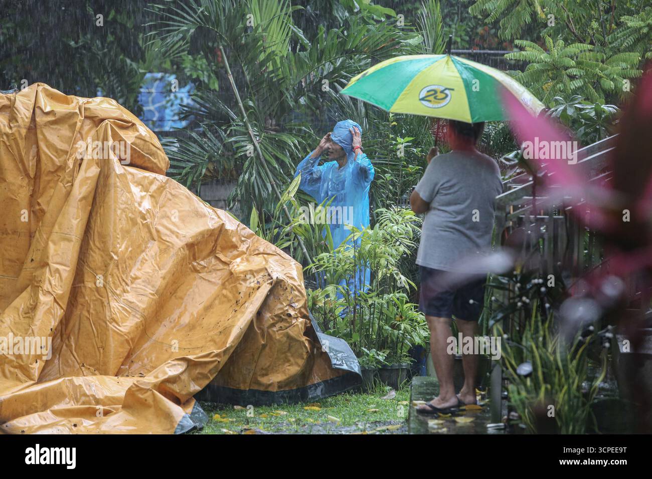 Calabarzon, Philippinen. September 2025. Ein philippinischer Mann versucht, sein Dach mit einer Plane zu schützen, nachdem die ersten schweren Regenfälle der Nacht in sein Haus einsickerten. Taifun Opong (Bualoi) wurde nach Landfall zu einem schweren tropischen Sturm herabgestuft, bringt aber immer noch mäßigen bis sintflutartigen Regen. Es ist der 15. Tropische Wirbelsturm des Jahres, der den philippinischen Archipel trifft, der auch durch die Wetterbedingungen durch habagat (Südwestmonsun) beeinflusst wird. Mindestens 120.000 Familien wurden evakuiert, insbesondere in den Provinzen Bicol und Quezon. Quelle: Kevin Izorce/Alamy Live News Stockfoto