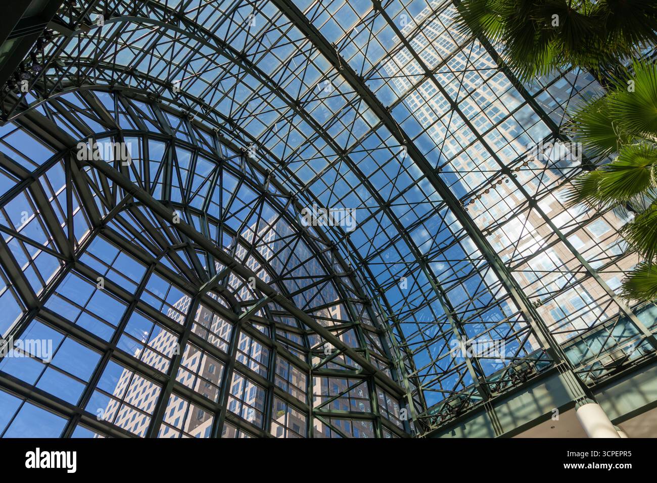 Winter Garden Atrium mit Wolkenkratzern durch die Glasdecke, New York City Stockfoto