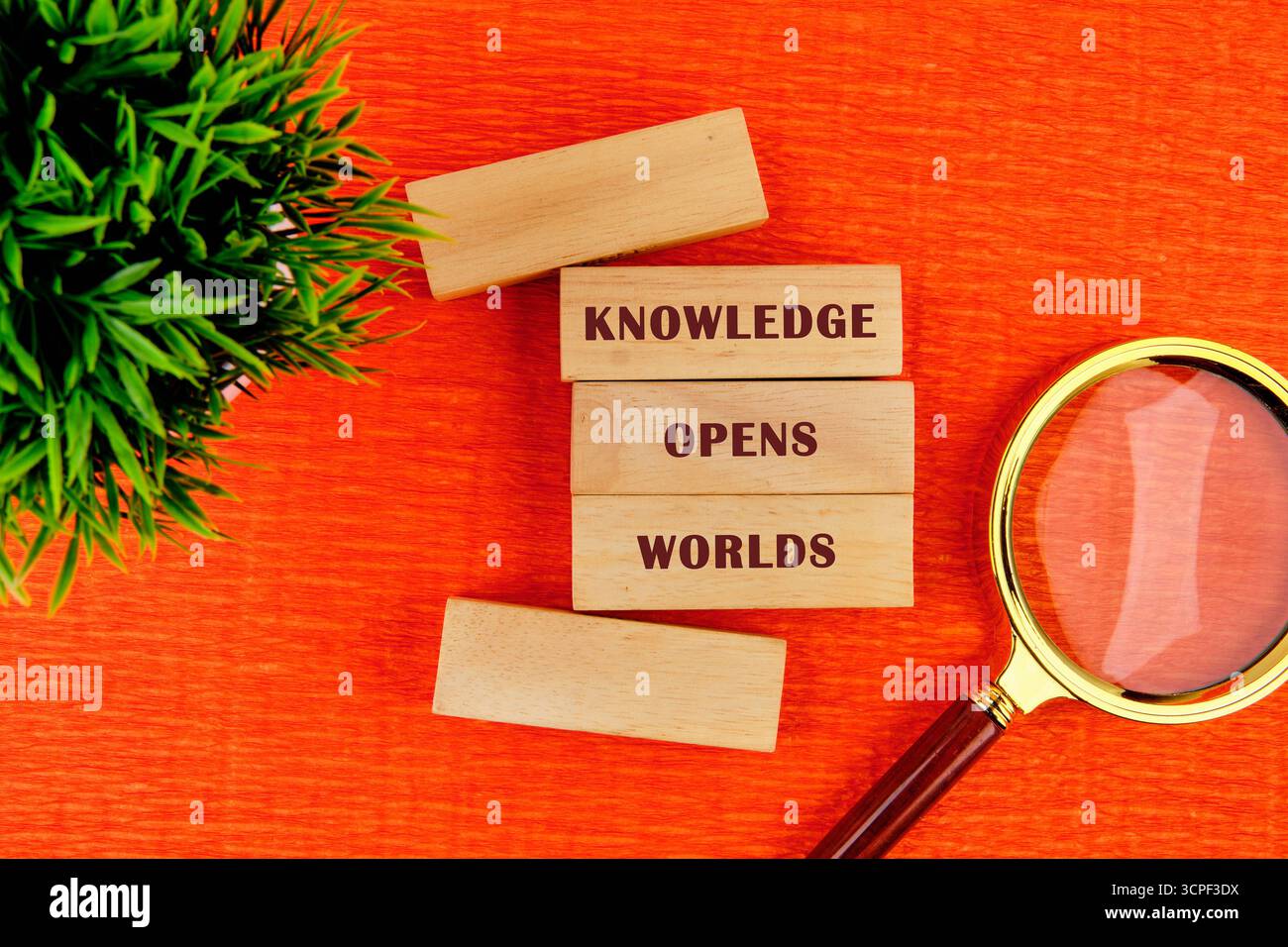 Bildung, Student, Universitätskonzept. DAS WISSEN ERÖFFNET WELTEN aus Holzblöcken in Komposition mit Lupe und grüner Pflanze auf oran Stockfoto