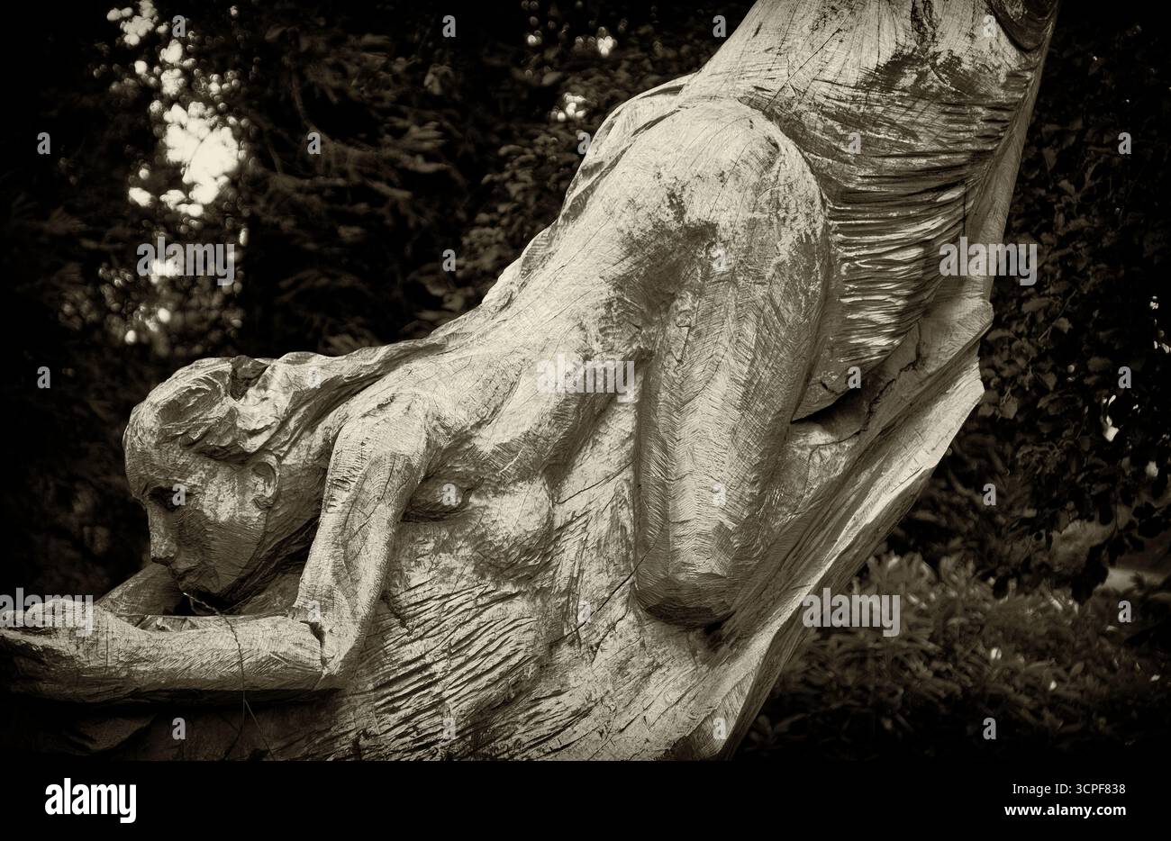 „Water Sustains Life“-Skulptur im Stamm eines beschädigten Baumes von Tom Harvey im Priory Park Great Malvern, Worcestershire, England, Großbritannien Stockfoto