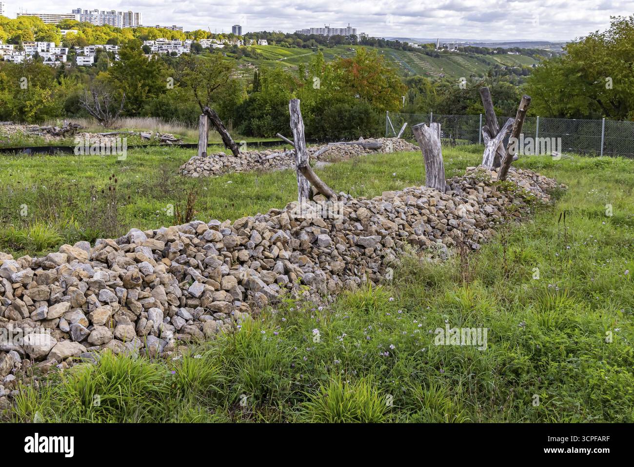 Flächen mit künstlichen Steinhaufen für Eidechsen. Die Stadt Stuttgart hat Kleinschrecke im Oberen Freienstein geräumt, um Eidechsen wieder anzusiedeln Stockfoto
