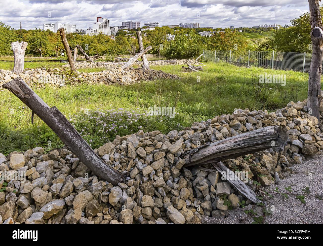 Flächen mit künstlichen Steinhaufen für Eidechsen. Die Stadt Stuttgart hat Kleinschrecke im Oberen Freienstein geräumt, um Eidechsen wieder anzusiedeln Stockfoto
