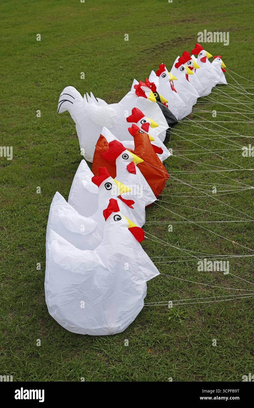 Kite Festival, International Kite Festival, Dieppe, Normandie, Frankreich Stockfoto