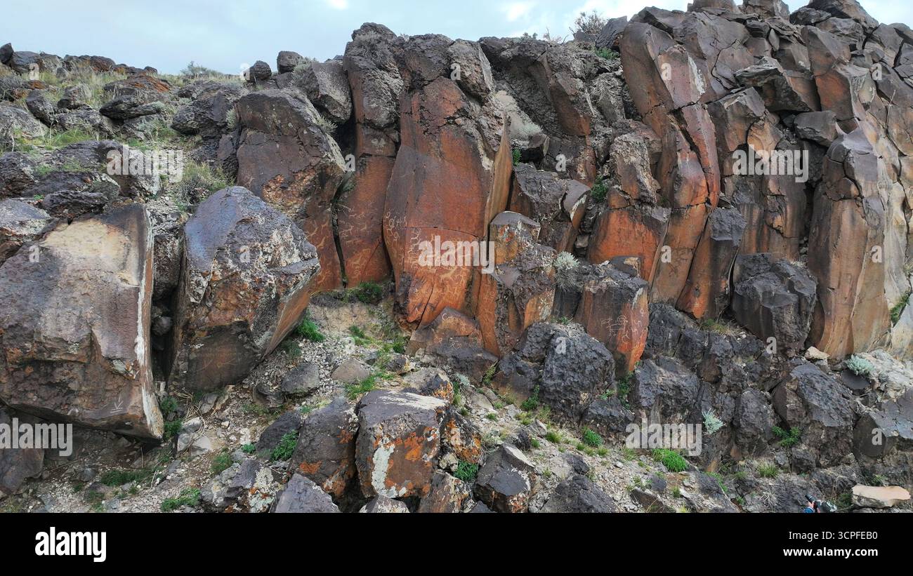 Die Gurvan Mandal Felsen enthalten Bilder von Tieren, die in der Region einzigartig sind, wie Hirsche, Kamele und Schafe. Stockfoto