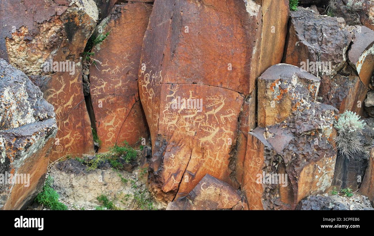 Die Gurvan Mandal Felsen enthalten Bilder von Tieren, die in der Region einzigartig sind, wie Hirsche, Kamele und Schafe. Stockfoto