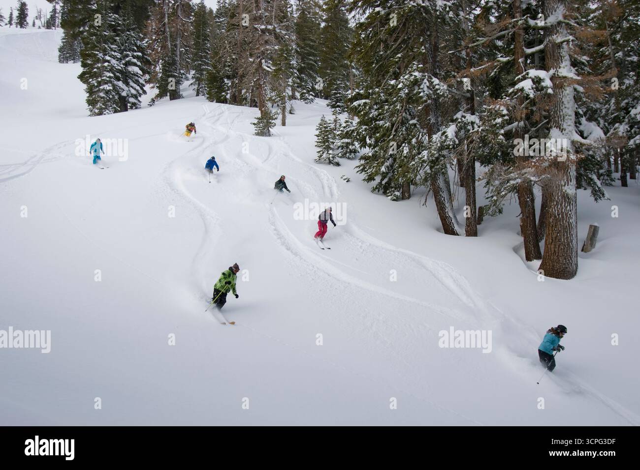 Eine Gruppe von Skifahrern führt an einem wunderschönen Tag in Kirkwood, Kalifornien, eine schneebedeckte Piste durch tiefen Tiefschnee hinunter. Stockfoto