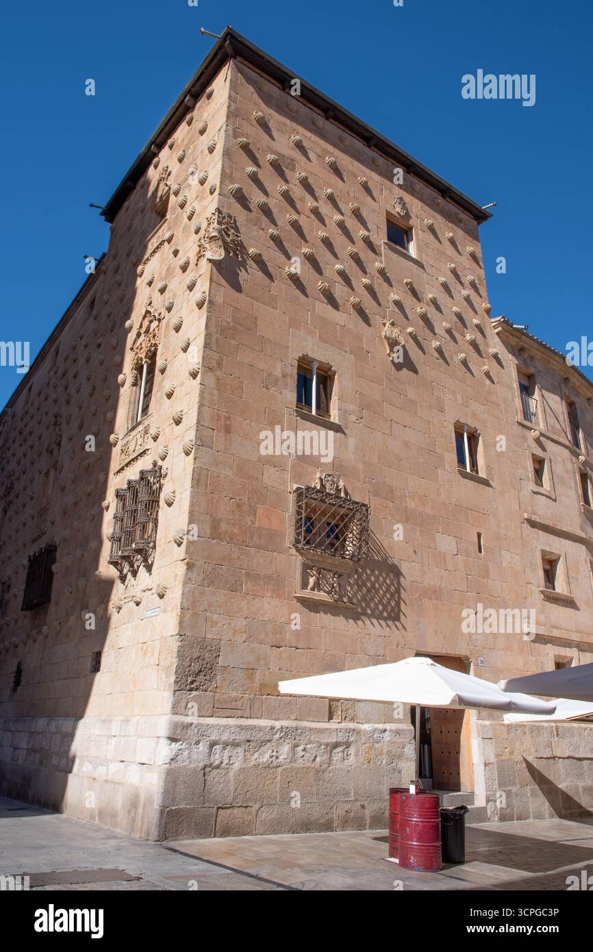 Casa de las Conchas 1493 bis 1517, öffentliche Bibliothek Salamanca Stockfoto