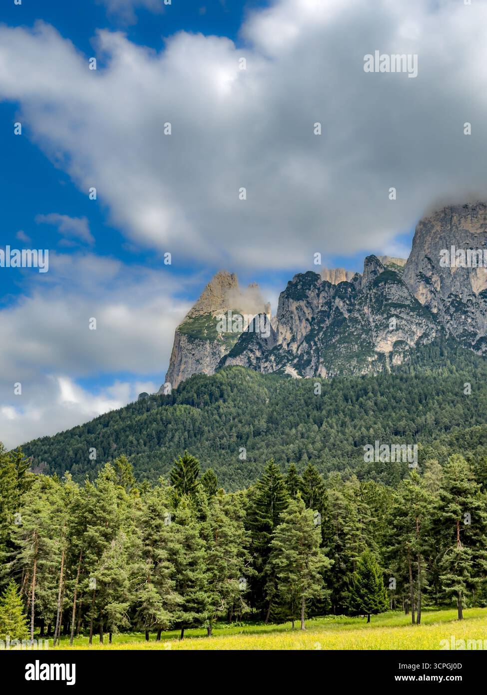 Blick vom Tal auf den Schlern in Wolken auf der Seiser Alm in den Dolomiten, Südtirol, Italien. Stockfoto