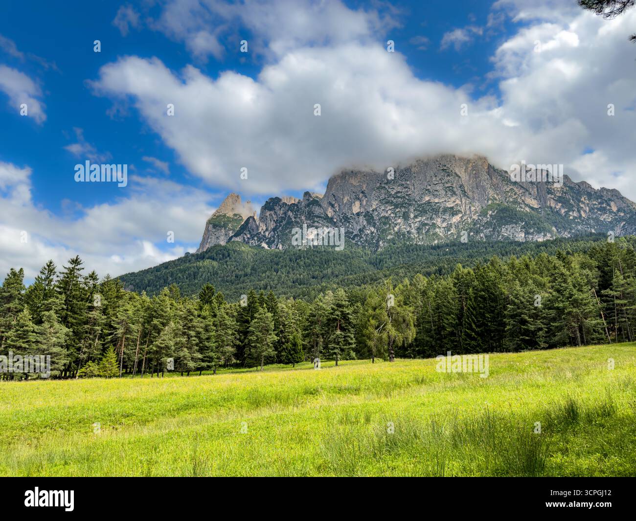 Blick vom Tal auf den Schlern in Wolken auf der Seiser Alm in den Dolomiten, Südtirol, Italien. Stockfoto