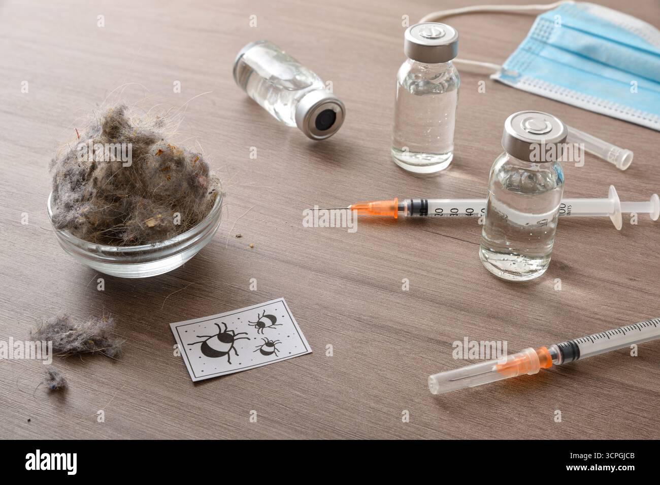Detail des Behandlungskonzepts für Staubmilbenallergie mit Fläschchen mit Produkt, Spritzen und Behältern auf einem Holztisch mit einer Schüssel voller Staub. Erhöhter Durchblick Stockfoto