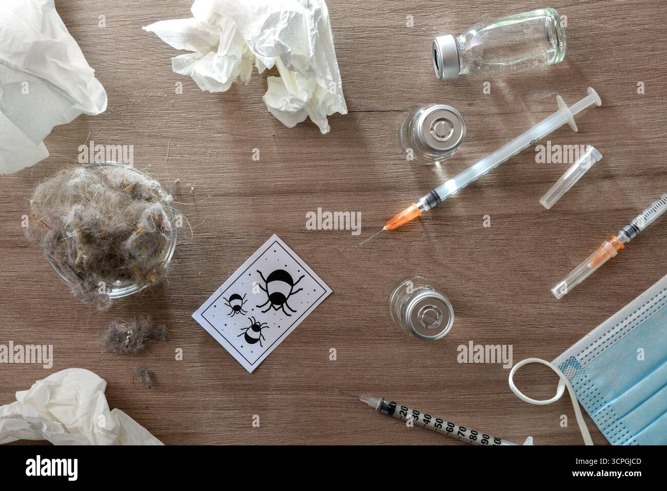 Detail des Behandlungskonzepts für Staubmilbenallergie mit Fläschchen mit Produkt, Spritzen und Behältern auf einem Holztisch mit einer Schüssel voller Staub. Draufsicht. Stockfoto