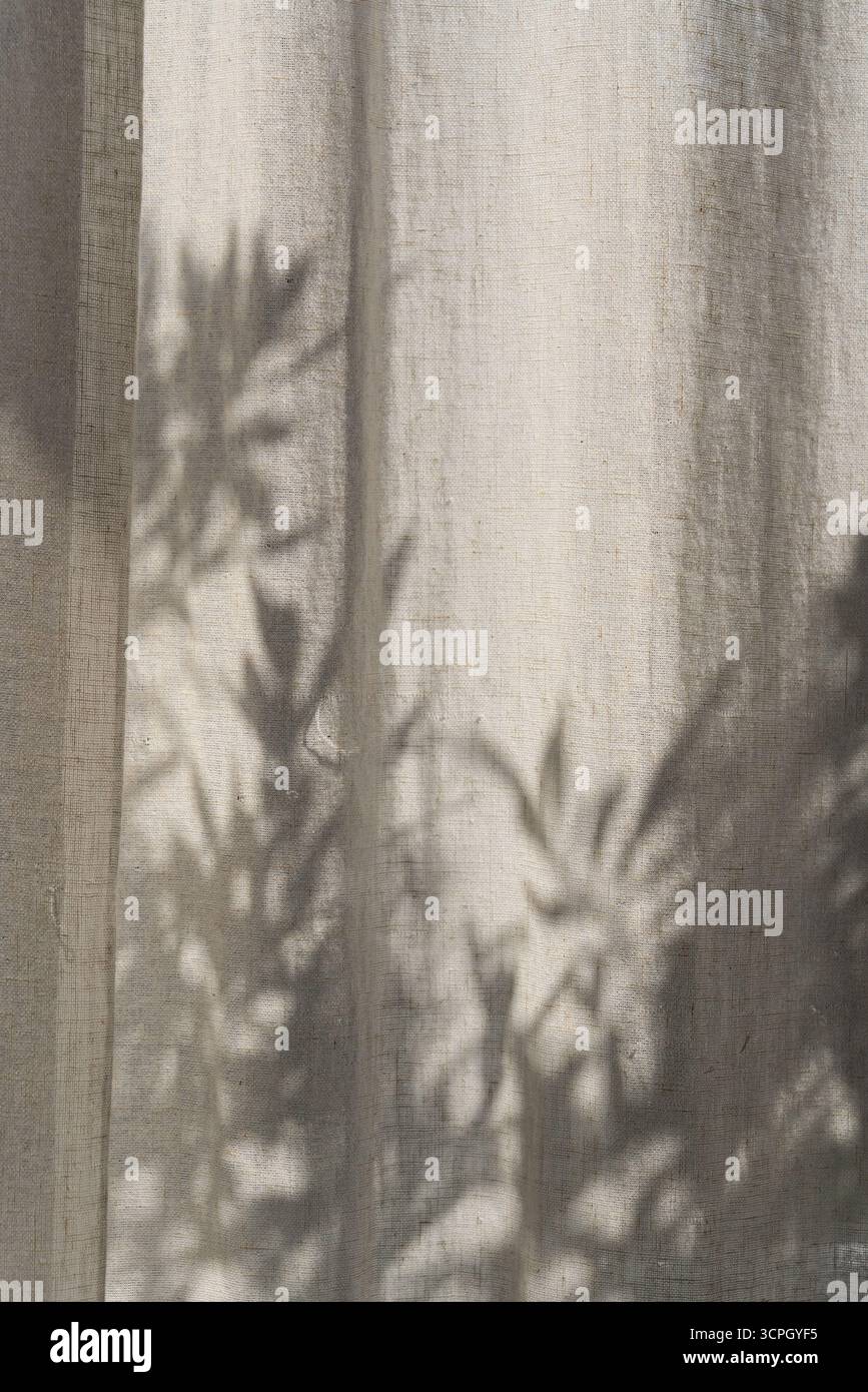 Florale Sonnenlichtschatten auf neutralen beigefarbenen Leinenvorhängen, ästhetischer minimalistischer natürlicher Hintergrund mit Kopierraum Stockfoto