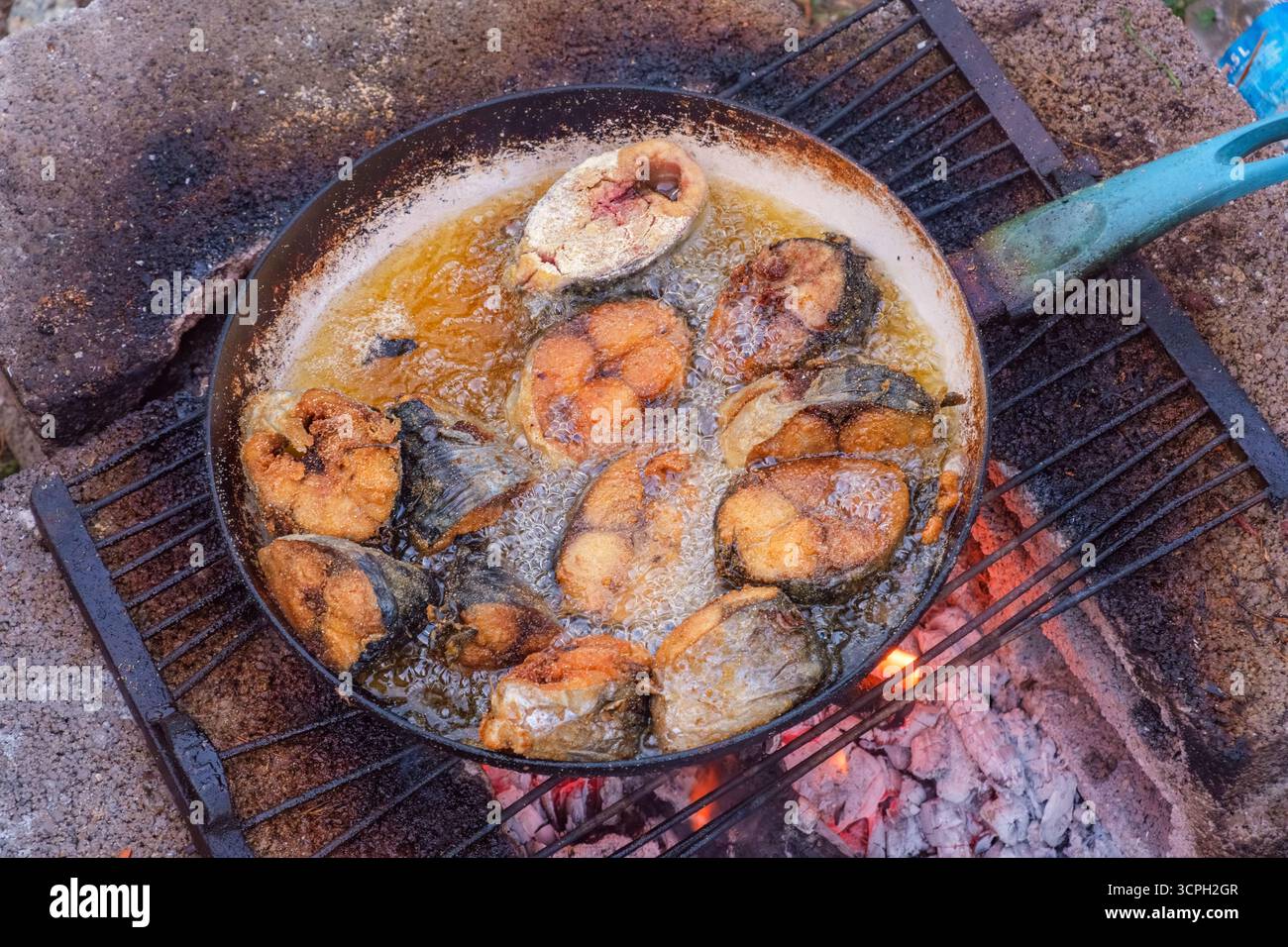 In Scheiben geschnittener Fisch in heißem Öl in einer Pfanne auf dem Feuer gekocht. Gebratener Flussfisch in einer gusseisernen Pfanne auf heißer Asche vom Feuer draußen Stockfoto