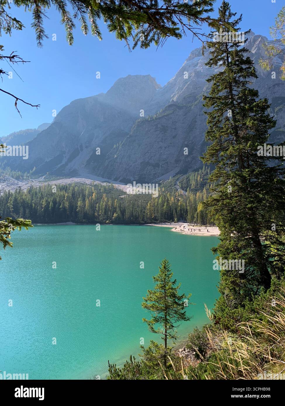 Pragser Wildsee, Pragser See oder Pragser Pragser See in den Dolomiten im Herbst, Südtirol, Italien. Das Konzept des Wanderns und des Ökotourismus. - Smartphone-aufgenommenes Stockfoto