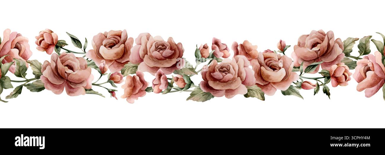 Rose mit Knospen und hinterlässt einen nahtlosen Rand. Verstaubte rosa Gartenblume im viktorianischen Stil. Aquarell handgemalt florale isolierte Illustration für Hochzeitsdesign Stockfoto