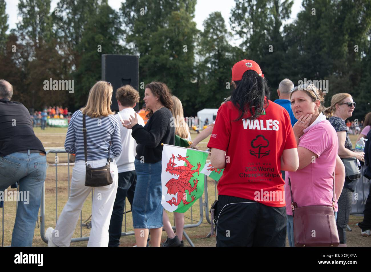 Wales-Unterstützer mit Drachenflagge, bei Tug of war, Weltmeisterschaften. Stockfoto