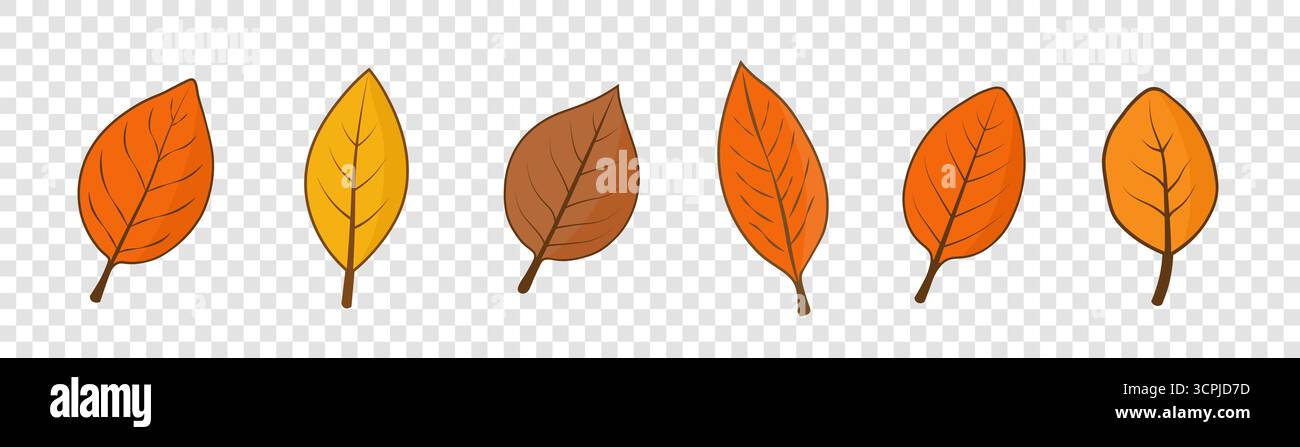 Ein Satz von sechs Herbstblättern unterschiedlicher Formen auf transparentem Hintergrund. Stock Vektor