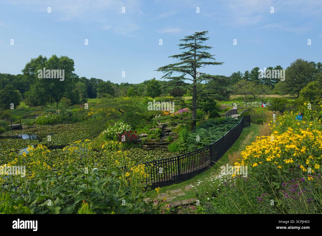Der Butterfly Garden ist einer der beliebtesten Stätten im Holden Arboretum, etwa 40 km östlich von Cleveland. Stockfoto