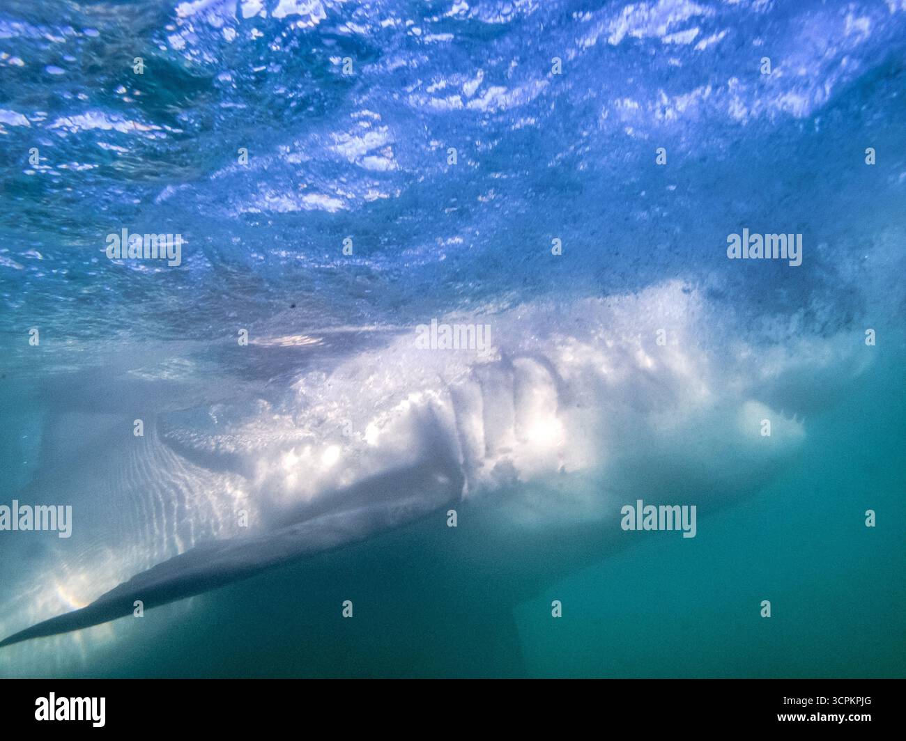 Eine Unterwasseraufnahme fängt den Moment ein, in dem eine Welle abstürzt, und erzeugt ein dynamisches Zusammenspiel von Licht und Schatten, wenn sie bricht. Stockfoto