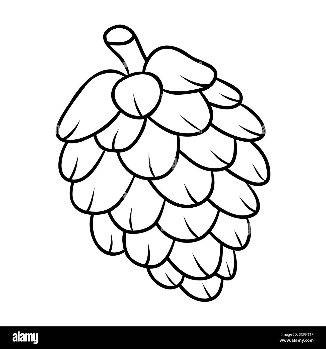 Kiefernkegel in dünner Kontur. Winterwaldelement. Minimale handgezeichnete Vektor-isolierte Illustration auf weißem Hintergrund. Stock Vektor