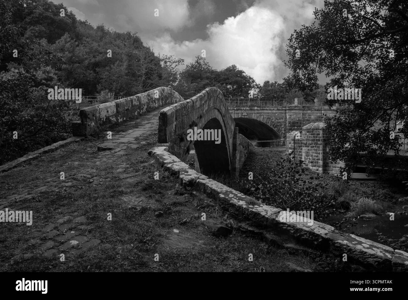 Beggars Bridge, mit ihrem alten, grasbewachsenen Pfad, der dramatisch über den Fluss Esk verläuft, ist im Hintergrund das Eisenbahnviadukt zu sehen. Stockfoto