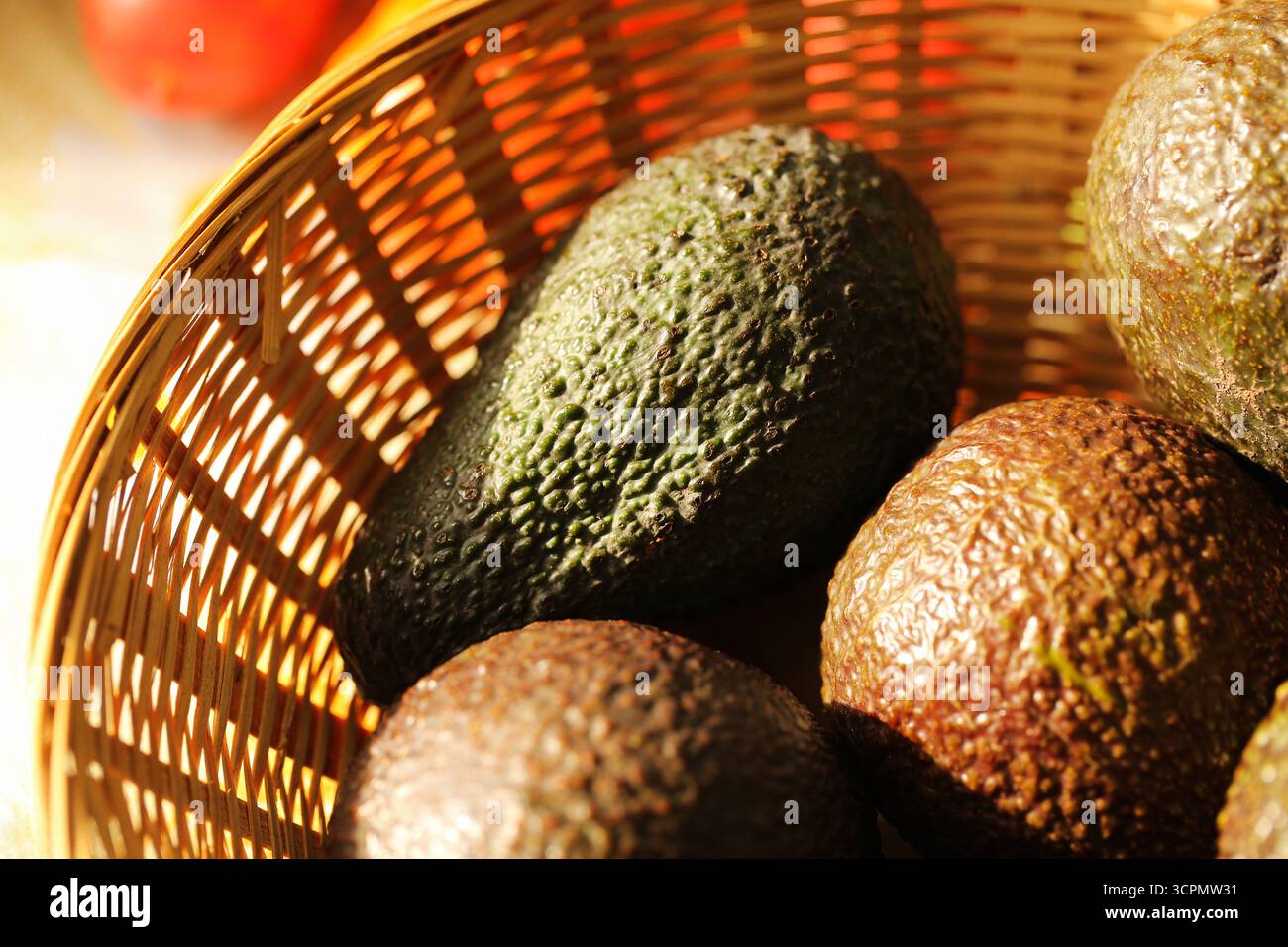 Frische Avocados im Korb. Ökologische grüne Obsternte. Natürliche gesunde Zutat für Kochen und Diät. Tropisches exotisches Produkt mit Textur. Stockfoto