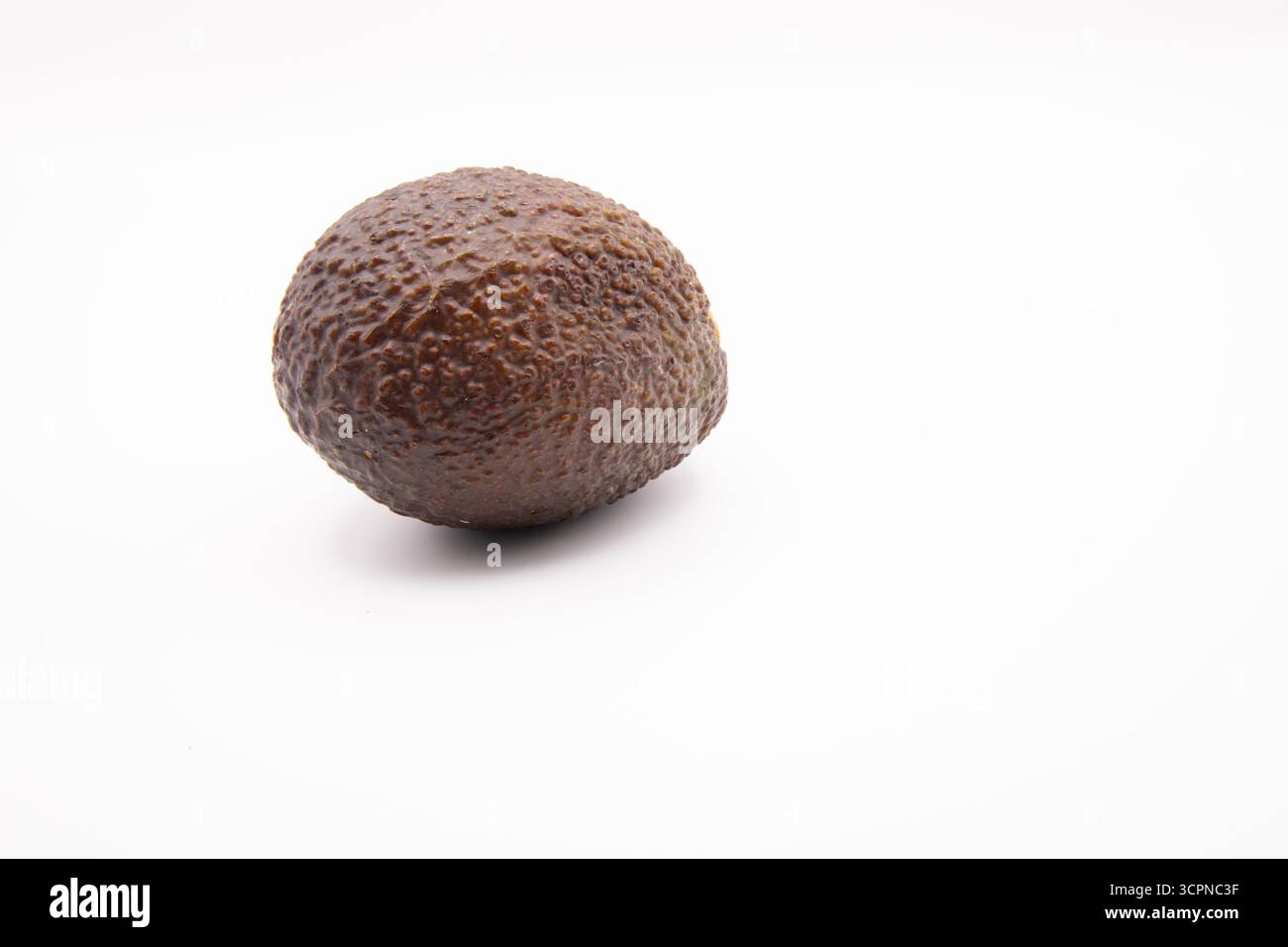 Nahaufnahme einer frischen Reifen Avocadofrucht, ganz und isoliert vor einem sauberen weißen Hintergrund. Stockfoto