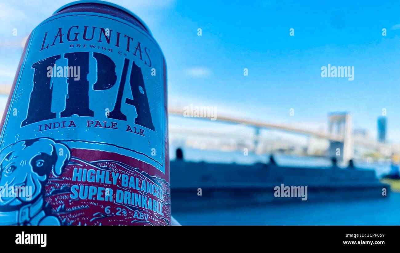 Lagunitas IPA Can in Foreground mit Scenic Bridge und Urban Skyline in New York City - Smartphone-aufgenommenes Stockfoto