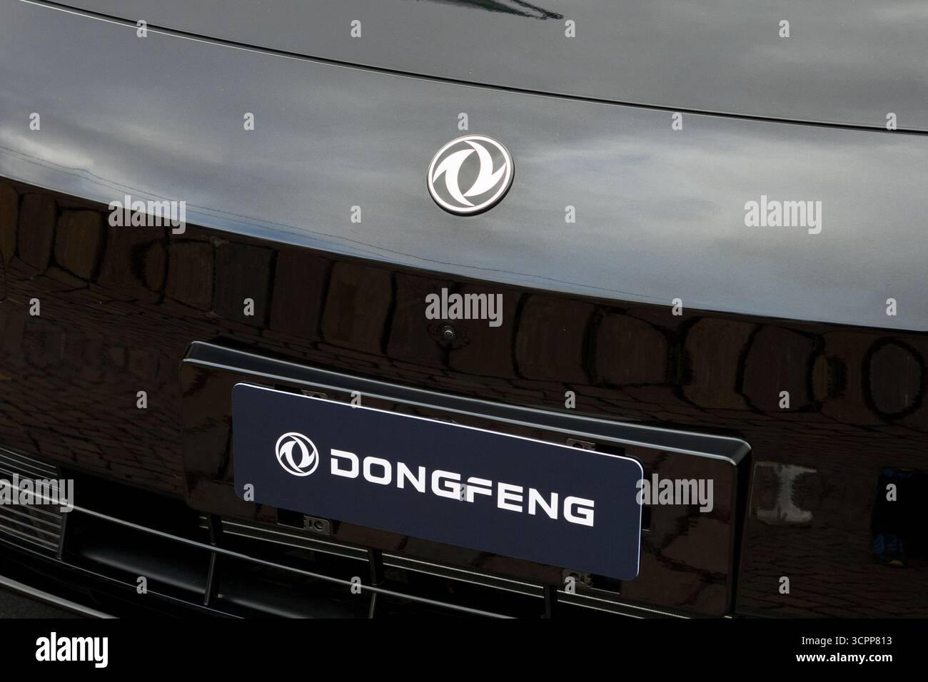 Turin, Italien. September 2025. Abzeichen auf einem Auto von Dongfeng Motor Corporation auf der Turin Car Show 2025 (Salone Auto Torino) Credit: Marco Destefanis/Alamy Live News Stockfoto