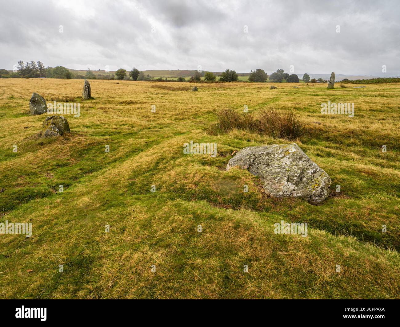 Prähistorischer bronzezeitlicher Doleirte-Steinkreis, Mitchell's Fold, auf Moorland neben Stapeley Hill, Nr White Grit, Shropshire Stockfoto