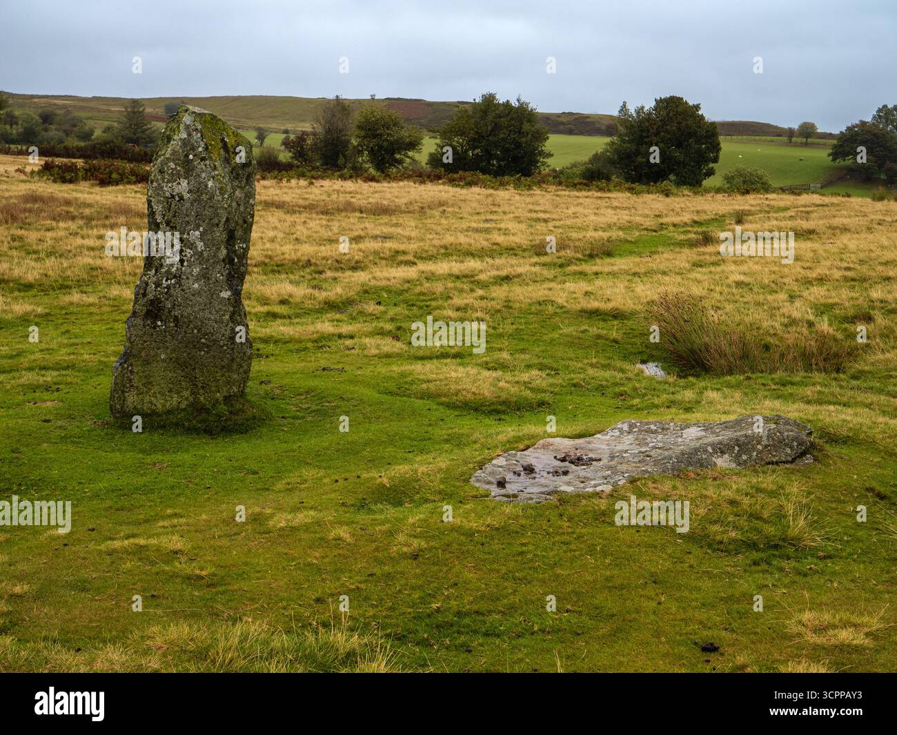 Prähistorischer bronzezeitlicher Doleirte-Steinkreis, Mitchell's Fold, auf Moorland neben Stapeley Hill, Nr White Grit, Shropshire Stockfoto