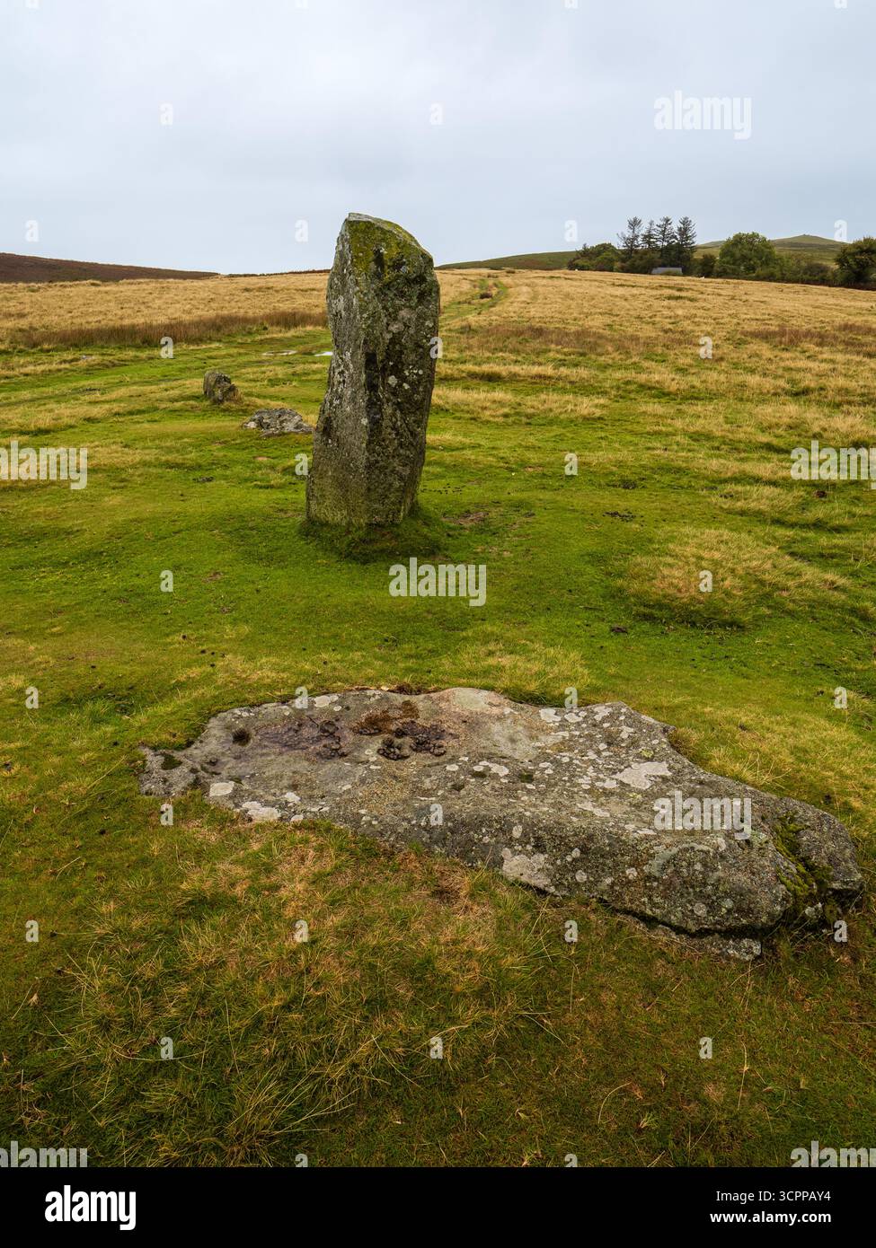 Prähistorischer bronzezeitlicher Doleirte-Steinkreis, Mitchell's Fold, auf Moorland neben Stapeley Hill, Nr White Grit, Shropshire Stockfoto