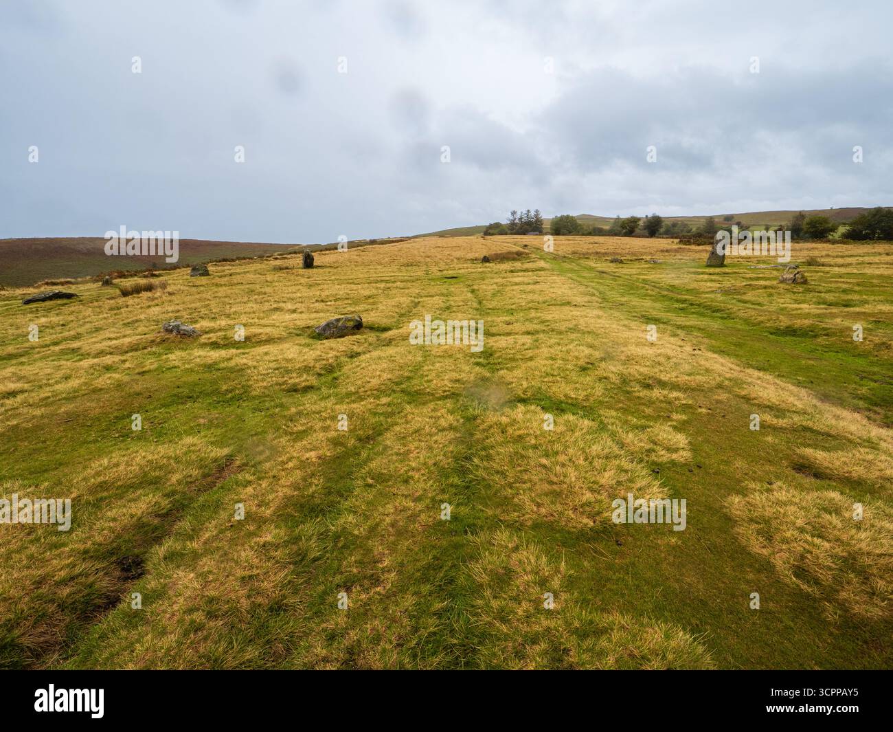 Prähistorischer bronzezeitlicher Doleirte-Steinkreis, Mitchell's Fold, auf Moorland neben Stapeley Hill, Nr White Grit, Shropshire Stockfoto