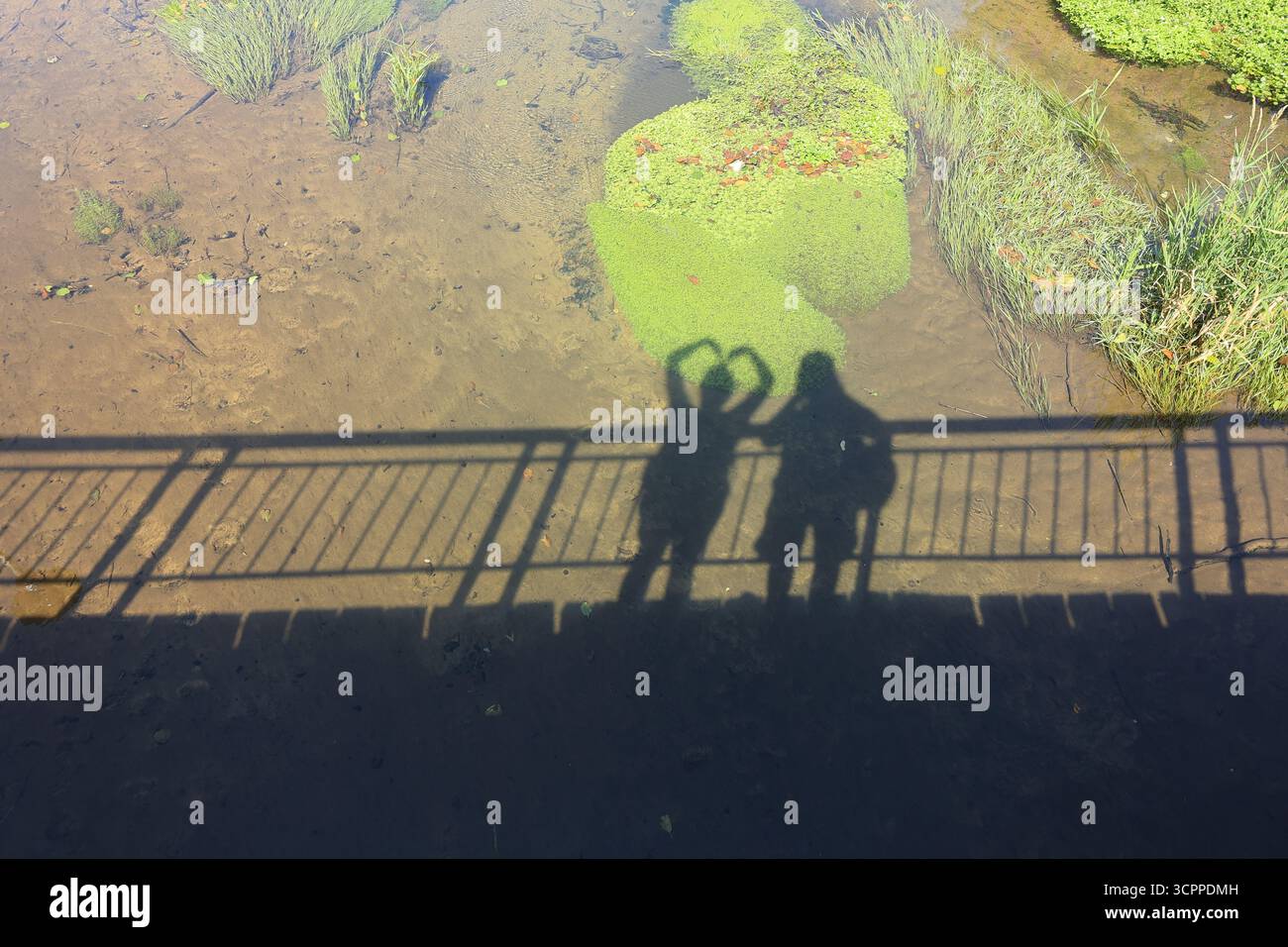 2 Menschen bilden mit ihren Armen ein Herz Stockfoto