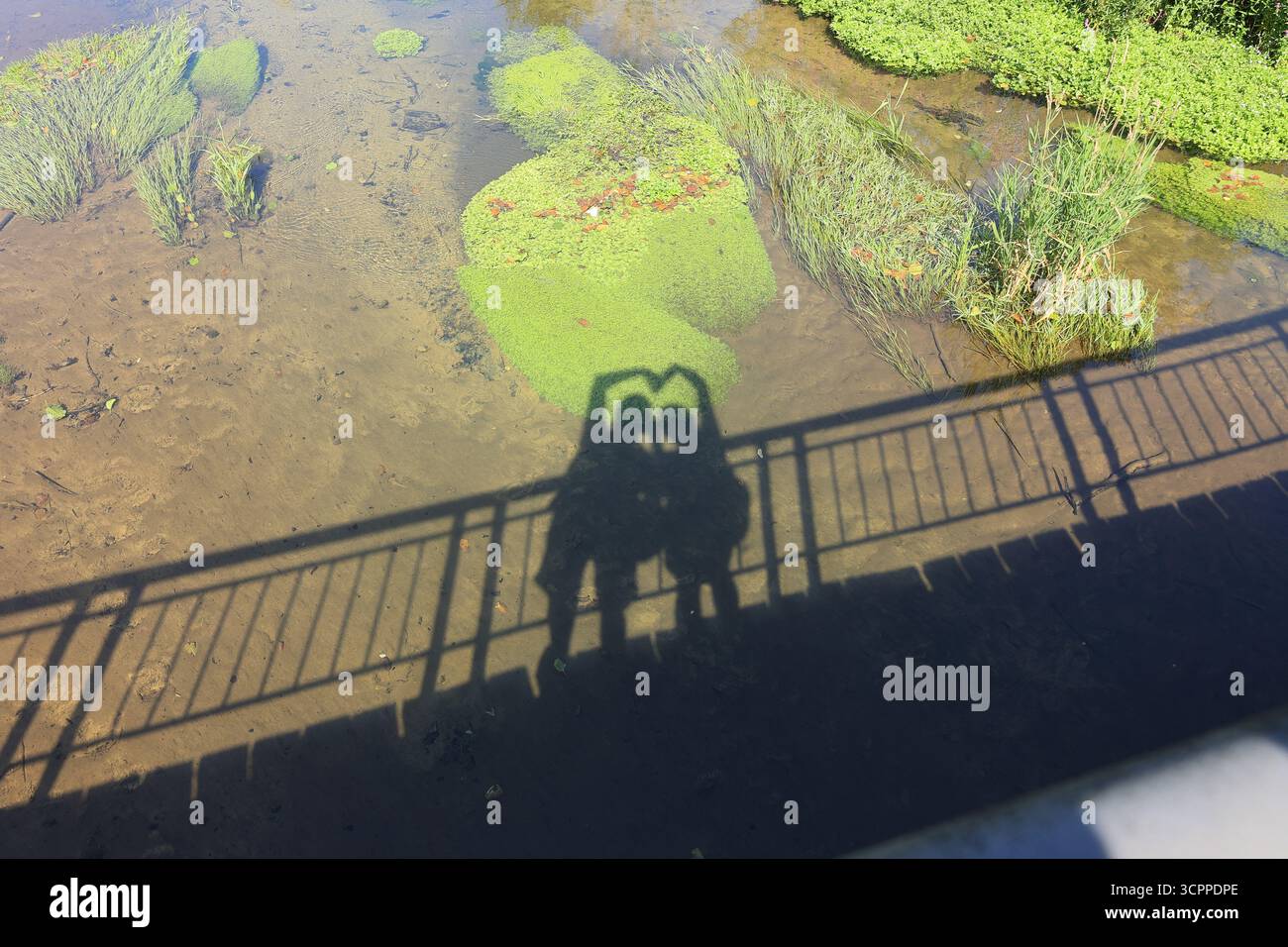 2 Menschen bilden mit ihren Armen ein Herz Stockfoto