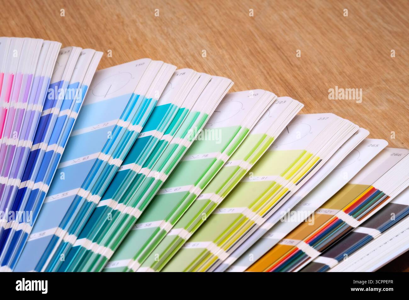 Eine Nahansicht einer Farbpalette mit einer vielfältigen Auswahl an Farben für Innenarchitektur und Dekorationsprojekte. Selektiver Fokus. Stockfoto