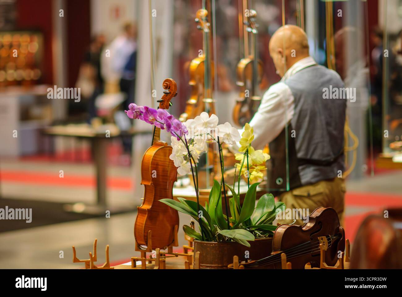 Cremona, Italien - 26. Septermber 2025 Experte Aussteller arrangierte sorgfältig exquisite Violinen auf der internationalen Ausstellung Cremona Musica Stockfoto