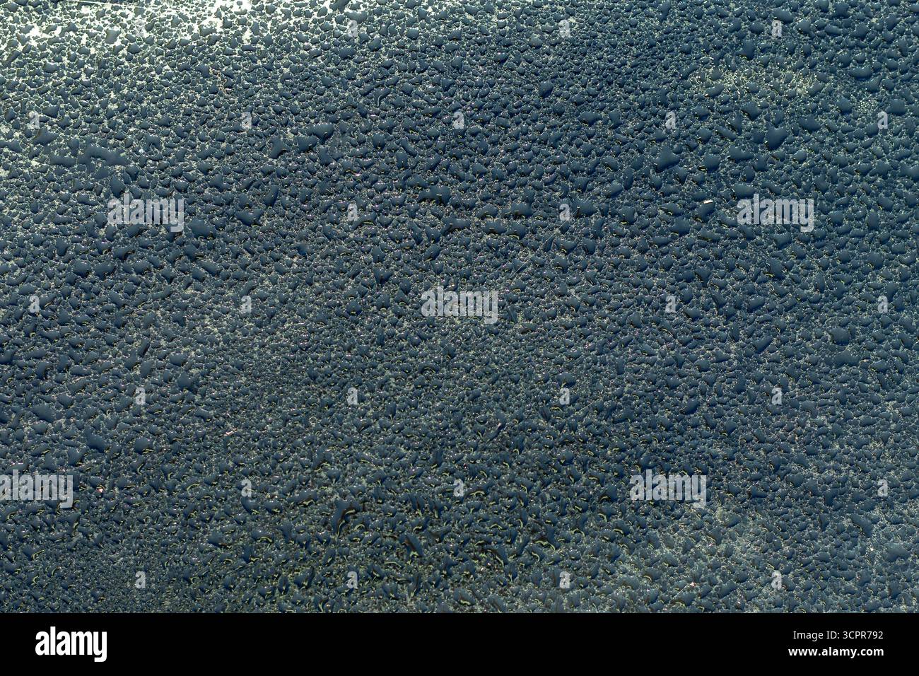 Natürliche abstrakte Textur von Wassertröpfchen, die auf Glasoberfläche kondensiert werden. Nahaufnahme von Tautropfen, die einen einzigartigen Hintergrund für Design, Natur und Umwelt schaffen Stockfoto