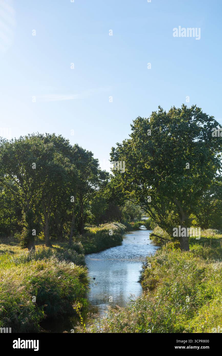 Der Bach Mühlenau fließt langsam zwischen Bäumen und Wiesen in perfekter Umgebung, Gemeinde Strande bei Kiel, Schleswig-Holstein, Norddeutschland Stockfoto
