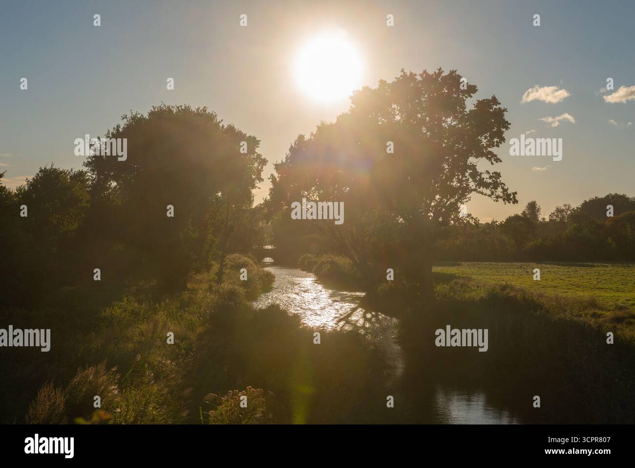 Der Bach Mühlenau fließt langsam zwischen Bäumen und Wiesen in perfekter Umgebung, Gemeinde Strande bei Kiel, Schleswig-Holstein, Norddeutschland Stockfoto