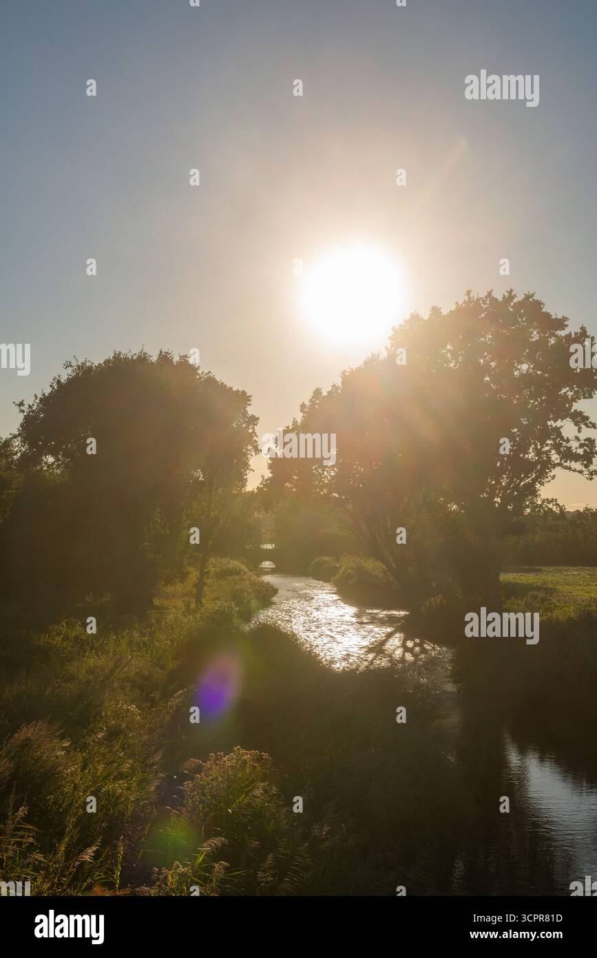 Der Bach Mühlenau fließt langsam zwischen Bäumen und Wiesen in perfekter Umgebung, Gemeinde Strande bei Kiel, Schleswig-Holstein, Norddeutschland Stockfoto
