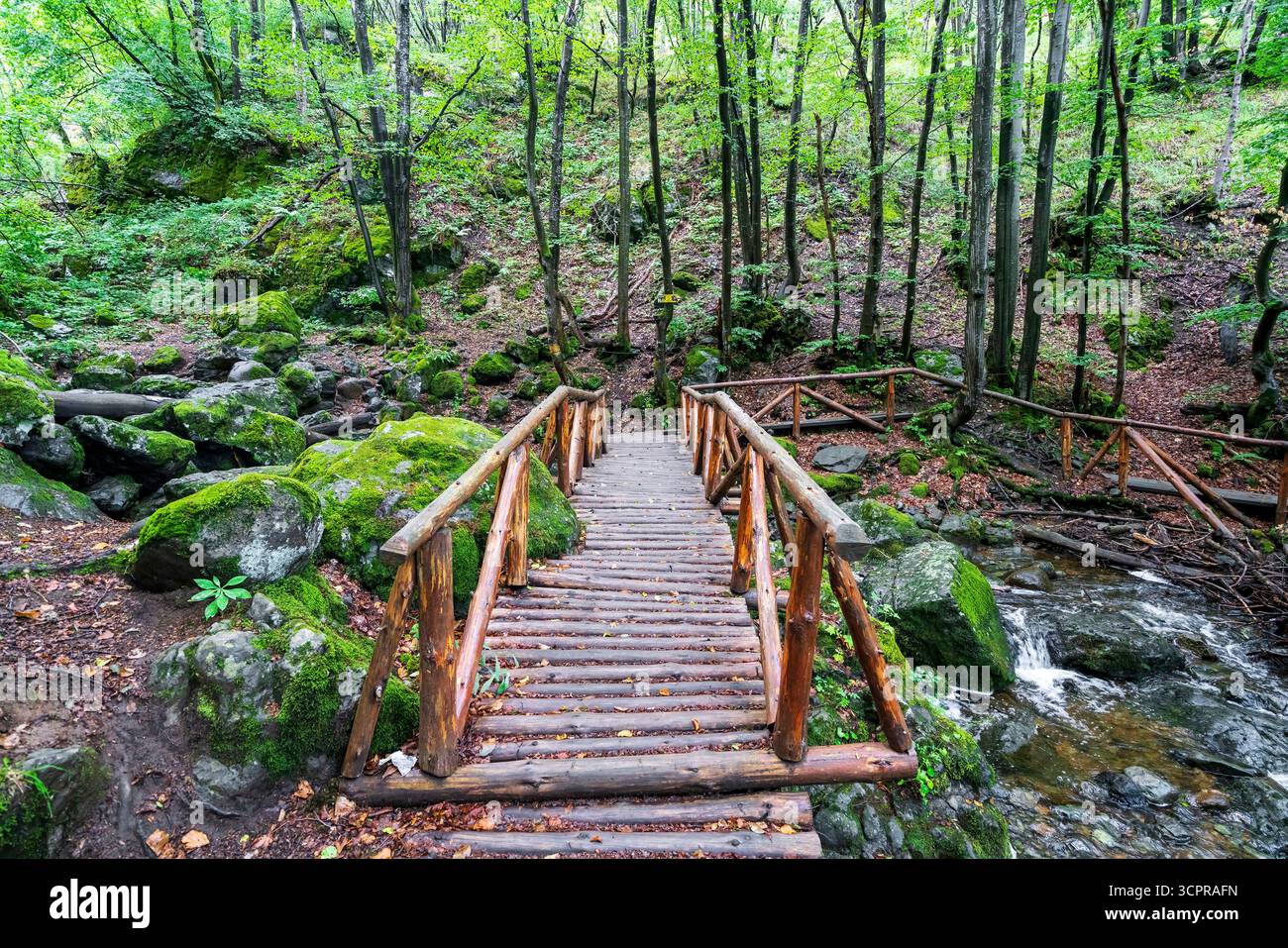 Rustikale Holzstege überquert einen klaren Bergbach im Vitosha-Bergwald in der Nähe von Sofia, Bulgarien, umgeben von moosigen Felsen. Stockfoto