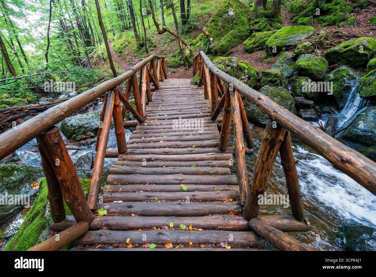 Rustikale Holzstege überquert einen klaren Bergbach im Vitosha-Bergwald in der Nähe von Sofia, Bulgarien, umgeben von moosigen Felsen. Stockfoto