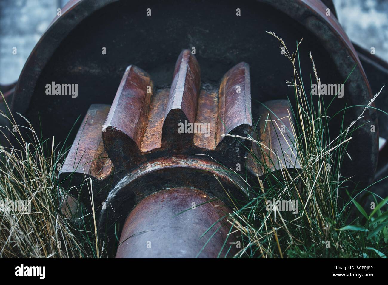 Vintage-Zahnrad Vor Dem Industriebau Stockfoto