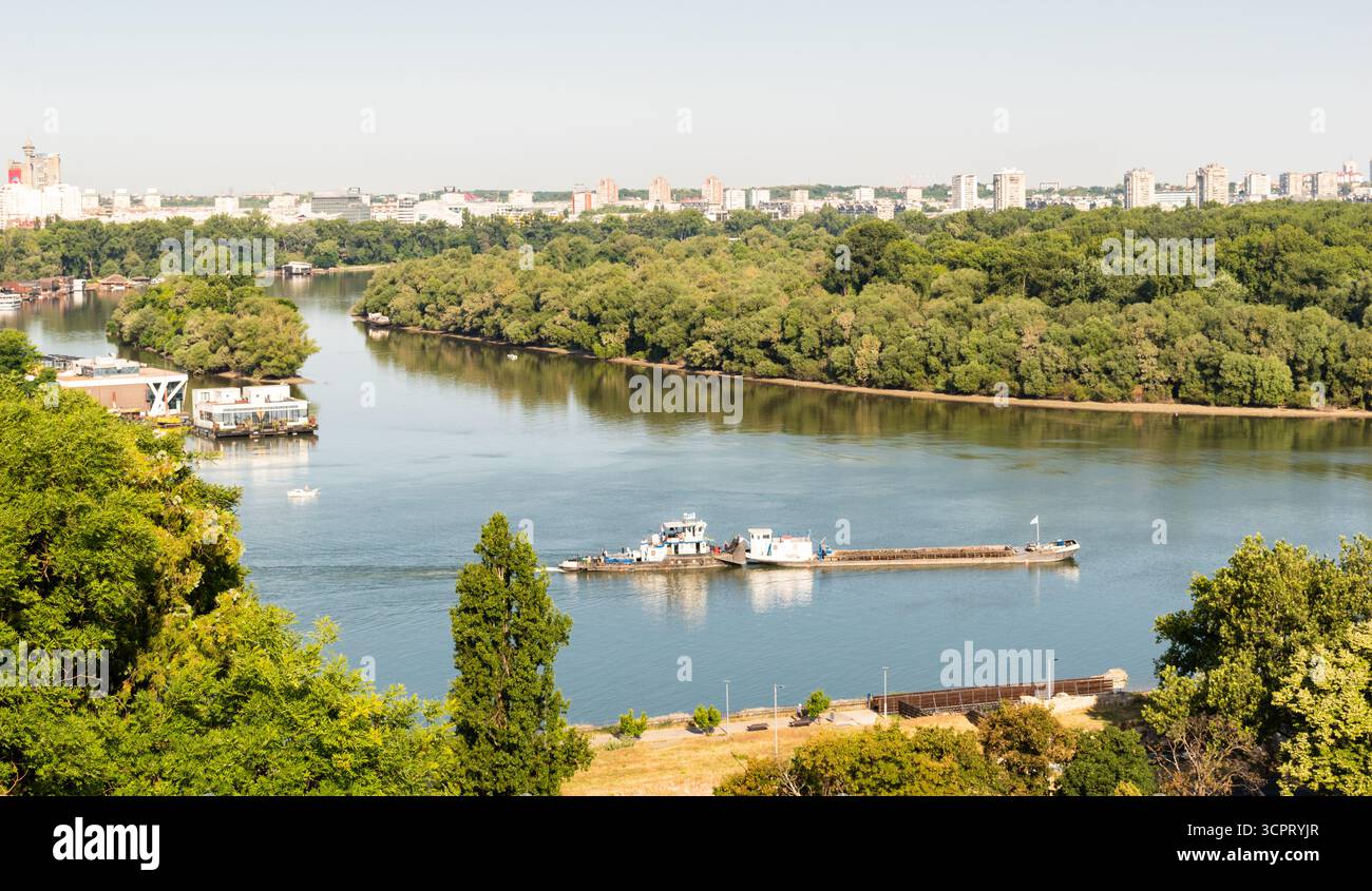 Zusammenfluss von Save und Donau Stockfoto
